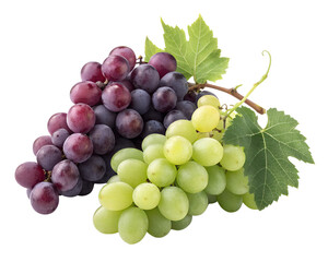 Fototapeta premium PNG Vibrant Grape Varieties: A mouthwatering assortment of fresh, juicy grapes in green and red hues. a still-life capture the natural freshness and the tempting allure of these healthy treats.