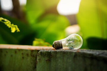 Discarded used lamps.