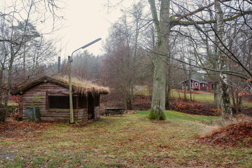 A small rustic log shed with a grass-covered roof sits in the middle of a peaceful Swedish countryside. A red wooden house stands in the background. Forest swedish cabin. 