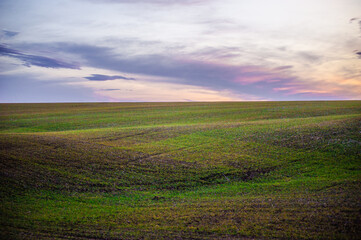 Obraz premium Green fields and hills against a bright sunset sky with purple clouds. Soft light