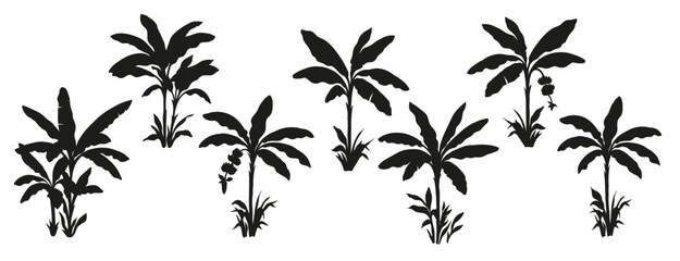 Tropical banana palm tree set. Collection of monochrome graphic silhouettes. Abstract botanical elements isolated on a white background. 