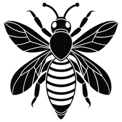 Honey Bee icon, honey bee silhouette on white background