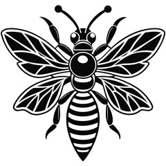 Fototapeta premium Honey Bee icon, honey bee silhouette