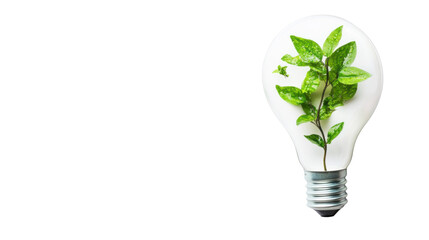 light bulb with plant inside on white background