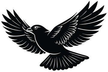 Obraz premium silhouettes bird flying