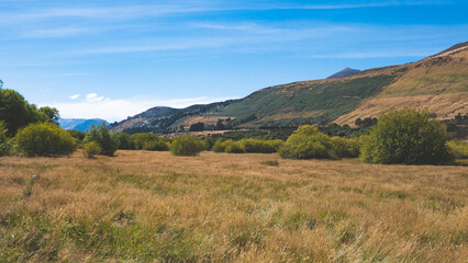 Beautiful postcard views of glenorchy new zealand mountains peaks green grass blue sky idyllic landscape