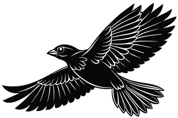 Fototapeta premium A free bird flying in silhouette stock illustration on white background