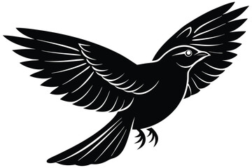 Fototapeta premium bird flying in silhouette