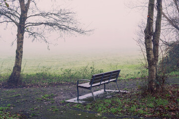Metal bench in a park next to a field which is covered with fog and mist. Moody calm nature scene.