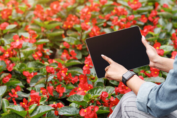Collecting data on quality of plants. African american girl with smart watch clicks on screen of...