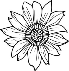 Flower petal in line art illustration, floral vector drawing