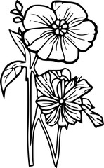 Flower line art illustration, floral vector drawing