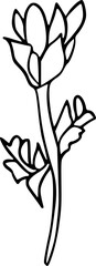 Flower line art illustration, floral vector drawing