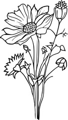 Flower line art illustration, floral vector drawing