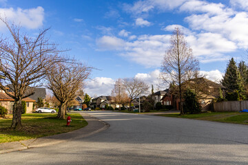 Naklejka premium Beautiful Residential Street with Houses and Bare Trees Under a Bright Blue Sky