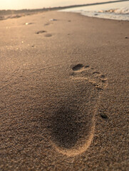 A closeup of a single, distinct footprint resting in the soft, warm sand along a serene beach at sunset time