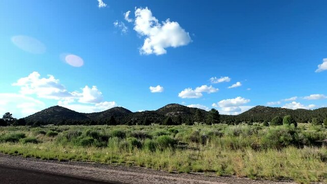 New Mexico Driving 1062 Datil Quemado