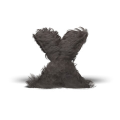 Hairy Letter X. Letter, Alphabet, Fur, Wool, Hairy, Fuzzy, Texture, Soft, Gray, Fiber, Fluffy, Design, Isolated, Typography, Symbol, Sign.