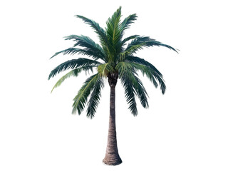 Detailed Isolated Palm Tree Rendering with Swaying Fronds on Transparent