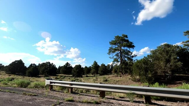 New Mexico Driving 1064 Datil Quemado