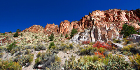 Wildflowers and Rocky Cliffs of Utah