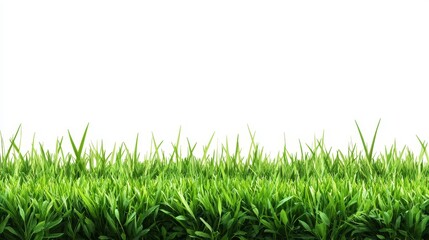Fototapeta premium Lush green grass stretching across a bright white background, ideal for nature-themed projects