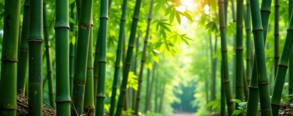 Vertical bamboo stalks, natural texture, earthy tones,  backdrop,  pattern,  macro