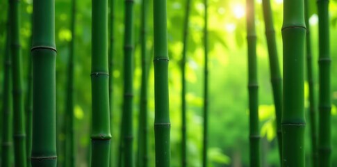 Fototapeta premium Close-up of vertical bamboo stalks, natural light , surface, macro, lines