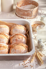Healthy and homemade buns for perfect breakfast.