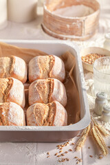 Healthy and homemade buns in rustic bakehouse.