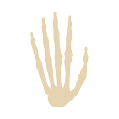 hand bones colored icon