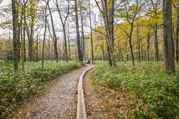 Beautiful Views Of Hotaka Mountains (The Northern Japan Alps) And Autumn Leaves On The Trail To Myojin Pond At Kamikochi, Chubu Sangaku National Park, Nagano, Japan