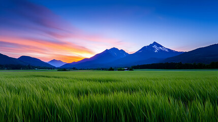 Naklejka premium Vibrant Sunset Over Green Field and Majestic Mountains