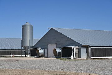 Chicken farm barn buildings with grain silo © Laughing Willows