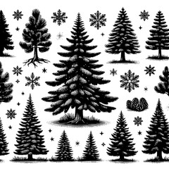 Fototapeta premium pine tree isolated on white