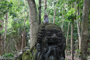 A monkey sits peacefully in its natural habitat. Its curious gaze and relaxed posture stand out...