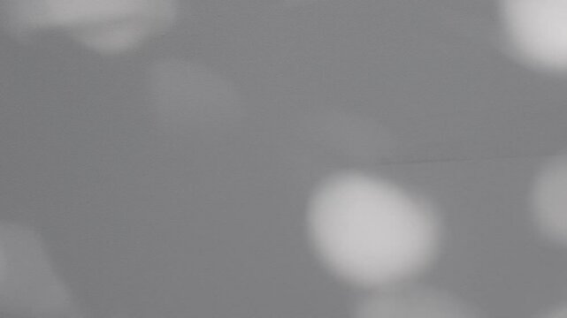 Wall interior background, studio and backdrops show products.with shadow from window color white and grey. background for text insertion and presentation product	
