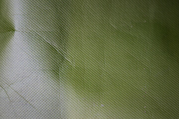 abstract green texture background for graphic design and web design or wallpaper