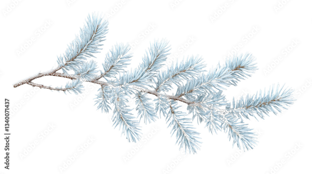 Poster snowy fir branch creating festive atmosphere on transparent background
