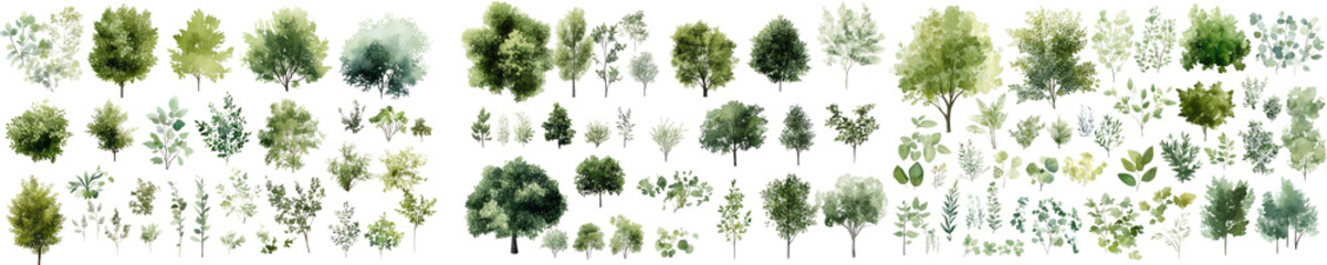 set of various trees in different styles, tree top view for architectural design. isolated on white or transparent background.