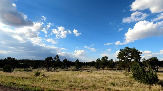 New Mexico Driving 1074 Datil Quemado