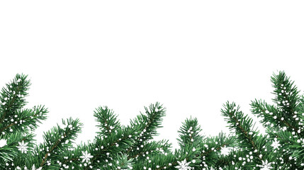 Frame made from flowers of red poinsettia, Christmas tree Branches and Red balls