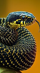 Fototapeta premium Captivating close-up of a slithering snake showcasing its unique skin pattern against a natural background