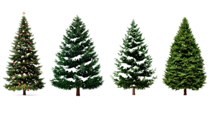 Four different types of Christmas trees are shown in a row