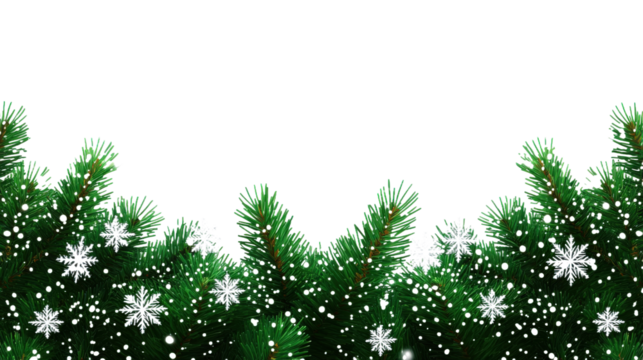 Frame made from flowers of red poinsettia, Christmas tree Branches and Red balls