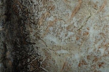 Wall affected with black mold indoors, closeup view