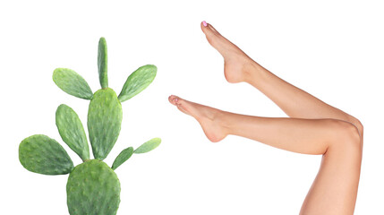 Epilation, hair removal. Woman with smooth skin on legs and cactus against white background