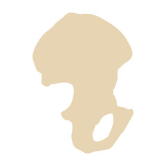 hip bone colored icon