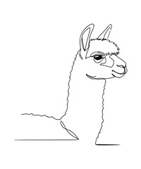 Lama   Elegant Llama Line Drawing: Simple Black and White Illustration of Llama Profile with Long Ears  © Organicpatterns