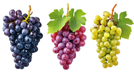 Fototapeta premium Three grapes are shown in a row, with one of them having a leaf on top